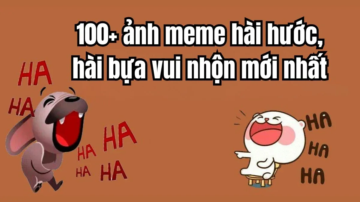 Tuyển tập 100+ hình ảnh hài hước nhất